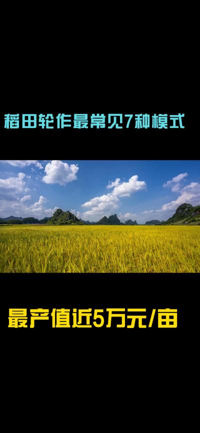 &ldquo;一田多收，藏着农业增收的密码！今天带您1分钟看懂水稻轮作的致富密码