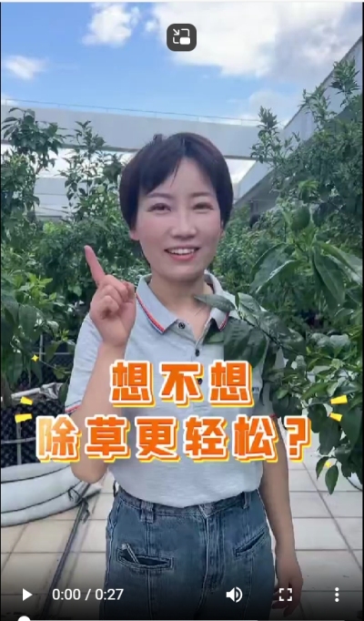 打了除草剂，死草慢，草死了两天又活了，怎么办？我教你一招