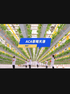 自由升降、追光生长。#ACA草莓天瀑，美爆了！向天再借500平！#ACA可控农业 #华维集团 #数字农业