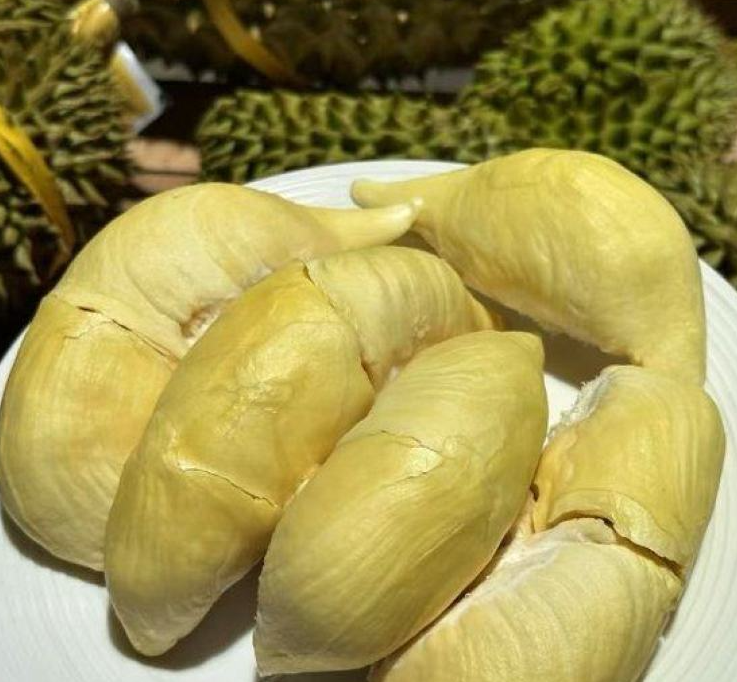 泰国甲仑榴莲
浓香满口，丝滑如奶油
甜甜糯糯，榴莲味浓郁
谁让它是泰国榴莲界的元