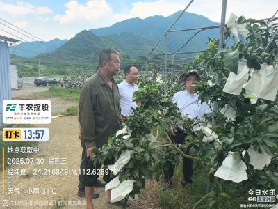 邓老师带队考察开发泰国红宝石基地。