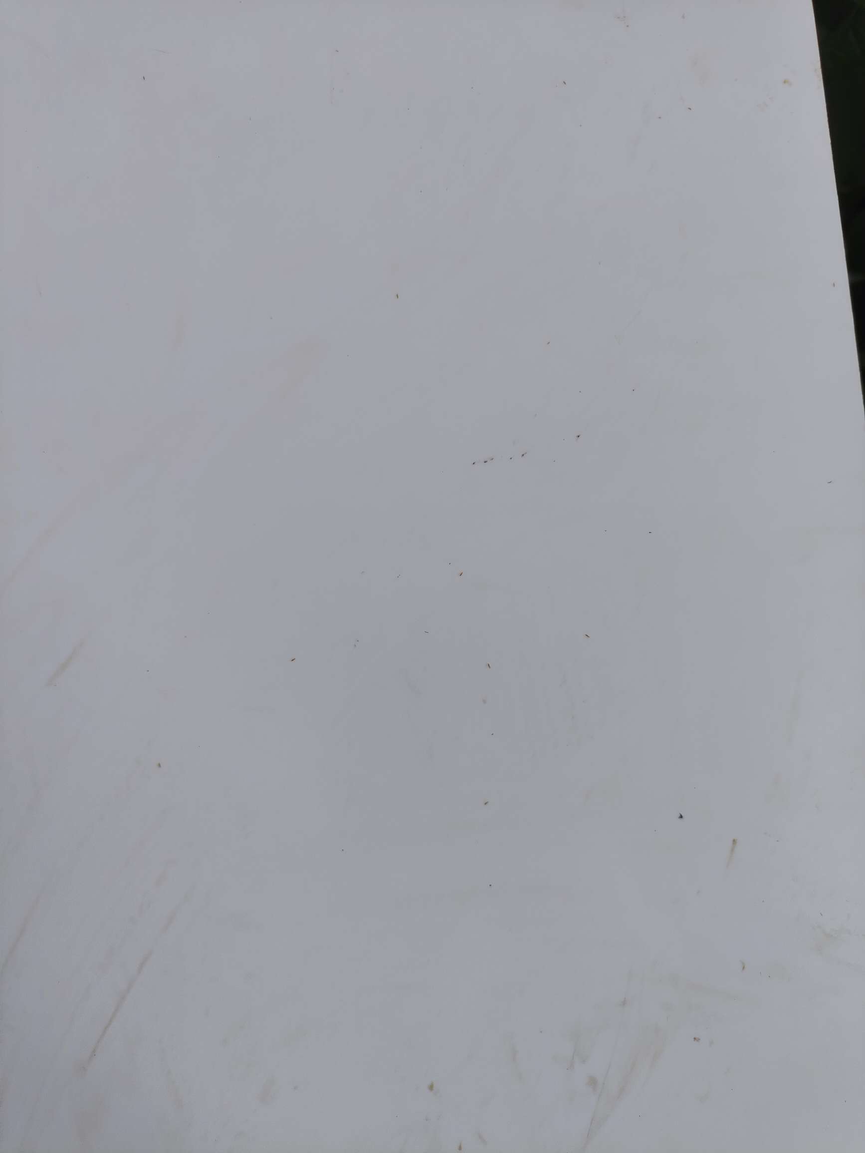 http://st-static1.ssggbxj.com/forums/2025/08/18/17555288245629.jpeg