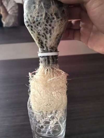 年销售量三十万吨的有机肥生产厂家，全国网点发货，资质齐全，正品保障！有机肥、生物菌肥、微生物肥料等
