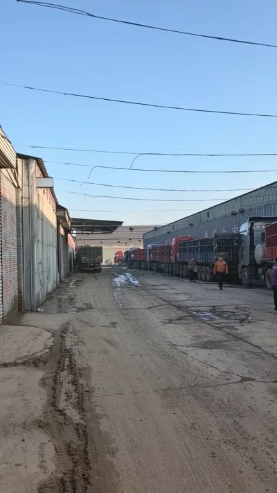 10月14号，生物有机肥排队装车