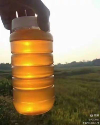 &ldquo;蜜&rdquo;源自然，臻选乡土精华。产自株洲市渌口区淦田镇成国家庭农场的纯天然中华蜂蜜，