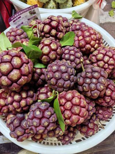 认水果，有认识的吗？