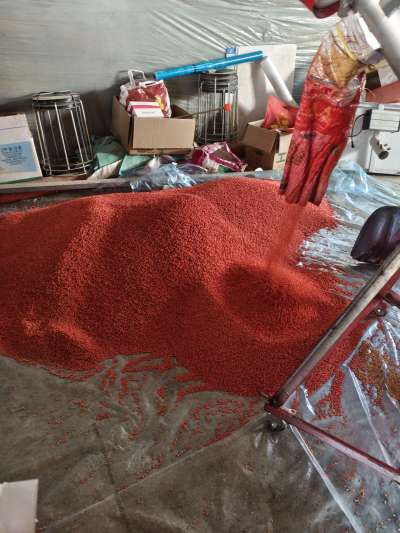 四冠包衣拌种，防虫防病壮苗增产。