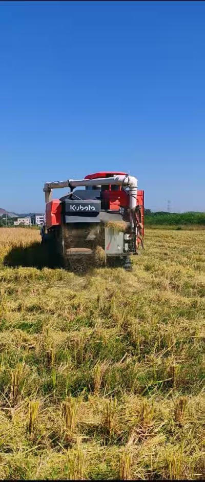 惠州基地，无人拖拉机收水稻了。