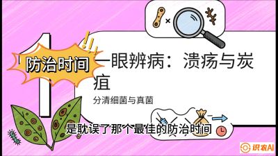 第三节：细菌与真菌&mdash;&mdash;溃疡病与炭疽病，课程：《柑橘十大病虫害：从入门到精通》
