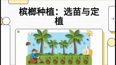 第01节：选苗与定植&mdash;&mdash;&ldquo;苗好一半收，底肥定千秋&rdquo;课程：《槟榔种植：从不懂到精通的10堂必修课》