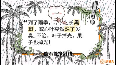 第05节：常见真菌病害&mdash;&mdash;&ldquo;炭疽与烂心，早防值千金&rdquo;《槟榔种植：从不懂到精通的10堂必修课》