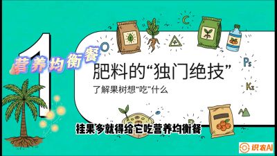 第07节：科学施肥&mdash;&mdash;&ldquo;氮磷钾配好，树壮果不倒