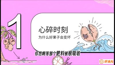 第08节：微量元素与保果&mdash;&mdash;&ldquo;补硼又补钙，果子不裂坏&rdquo;《槟榔种植：从不懂到精通的10堂必修课》