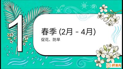 第10节：周年农事日历&mdash;&mdash;&ldquo;跟着节气走，丰产在手头&rdquo;《槟榔种植：从不懂到精通的10堂必修课》