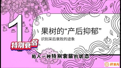 第2节：【冬肥策略】采后&ldquo;月子肥&rdquo;：大小年的精准干预术，课程：《柑橘底肥&ldquo;翻身账&rdquo;：从改土到高产的实战全书》