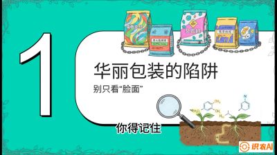 第4节：【黄金配方】底肥里的&ldquo;铁三角&rdquo;与&ldquo;微量雷区&rdquo;课程：《柑橘底肥&ldquo;翻身账&rdquo;：从改土到高产的实战全书》