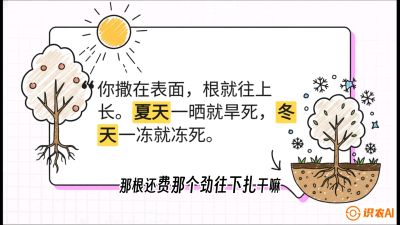 第5节：【硬核实操】挖沟的学问：不同土质的&ldquo;深浅保卫战&rdquo;，课程：《柑橘底肥&ldquo;翻身账&rdquo;：从改土到高产的实战全书》