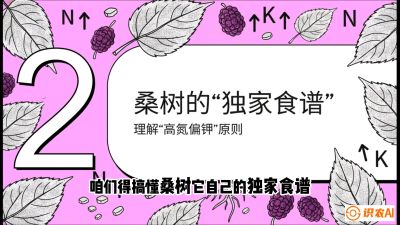 第04节：地下核动力&mdash;&mdash;桑树专用水肥一体化配方，课程：《桑海淘金：桑树高产与蚕桑安全进阶实战课》