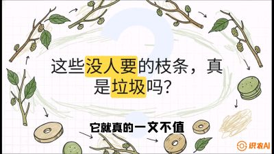 第12节：变废为宝&mdash;&mdash;循环农业实操，课程：《桑海淘金：桑树高产与蚕桑安全进阶实战课》