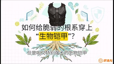 第三节：国产榴莲突围战：根系堡垒，菌根微生态构建与黄金定植窗口，课程：《国产榴莲突围战：从泰国经验到中国实操的8堂必修课（高阶实战版）》