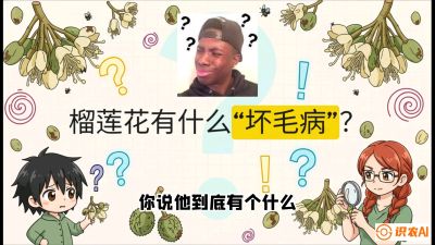 第六节：榴莲的午夜战事，夜间授粉战与花果期避雨策略，课程：《国产榴莲突围战：从泰国经验到中国实操的8堂必修课（高阶实战版）》