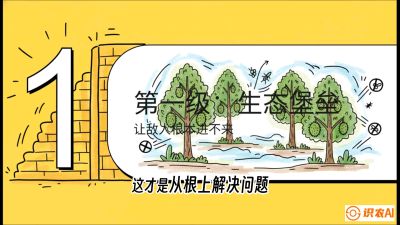 第七节：榴莲防御战：病虫害三级立体防控，疫霉菌与虫害的立体封锁线，课程：《国产榴莲突围战：从泰国经验到中国实操的8堂必修课（高阶实战版）》