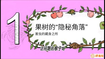 第3节：无人机专治&ldquo;打不透&rdquo;&mdash;&mdash;果树与高杆作物的穿透技巧，课程：《无人机植保搞钱必修课：从&ldquo;瞎飞&rdquo;到&ldquo;懂行&rdquo;的6步进阶》