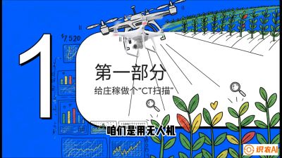 第5节：无人机也能&ldquo;看病抓药&rdquo;&mdash;&mdash;处方图与变量施肥入门，课程：《无人机植保搞钱必修课：从&ldquo;瞎飞&rdquo;到&ldquo;懂行&rdquo;的6步进阶》