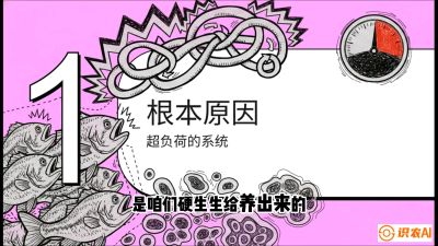 第三节：【爆款单品&middot;加州鲈】从&ldquo;玻璃鱼&rdquo;到&ldquo;摇钱树&rdquo;的通关秘籍，课程：《黄金鳞甲：2025中国淡水鱼高效养殖实战营》