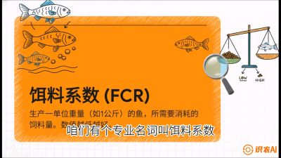 第五节：【高端单品&middot;鳜鱼】&ldquo;饲料鳜&rdquo;技术：打破吃活饵的高成本魔咒，课程：《黄金鳞甲：2025中国淡水鱼高效养殖实战营》