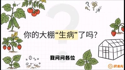 第2节（解毒篇）： 大棚里的&ldquo;红白绿&rdquo;警报&mdash;&mdash;读懂土壤盐渍化的求救信号，课程：《揭秘土壤的秘密：让土地帮你赚钱》#识农AI