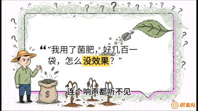 第4节（活化篇）： 土壤里的&ldquo;雇佣兵&rdquo;&mdash;&mdash;如何用菌剂以小博大，解决死棵难题，课程：《揭秘土壤的秘密：让土地帮你赚钱》#识农AI