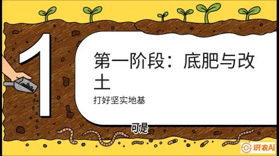 第6节（统筹篇）： 省钱又增产的&ldquo;黄金配比&rdquo;&mdash;&mdash;不同作物全年的养土实操方案，课程：《揭秘土壤的秘密：让土地帮你赚钱》#识农AI