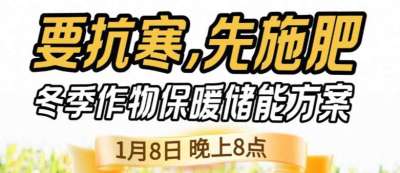 《细说农技》预警！多地作物冻害激增：种粮大户靠张宝林 &ldquo;3 步施肥&rdquo; 冻害降 90%，1 月 8 日