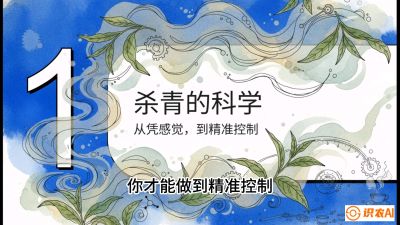 第05节（加工篇）：决胜2分钟：用&ldquo;数字温控&rdquo;破解杀青不匀，复刻大师级手工口感，课程：《茶金时代：从&ldquo;看天吃饭&rdquo;到&ldquo;精准控局&rdquo;的茶叶高产提质实战课》
