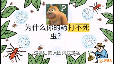 第4节：【虫害歼灭战】打不死的蓟马、隐形的茶黄螨：抗性时代的&ldquo;混配绝杀&rdquo;，课程：《辣椒种植实战特训营，从工业辣椒到精品小米辣，教你如何把&ldquo;草&rdquo;种成&ldquo;金&rdquo;》