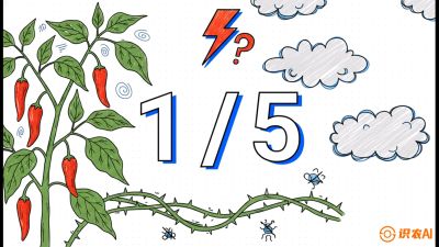 第6节：【花果爆发术】落花落果的五大元凶，与&ldquo;三喷一保&rdquo;坐果黑科技，课程：《辣椒种植实战特训营，从工业辣椒到精品小米辣，教你如何把&ldquo;草&rdquo;种成&ldquo;金&rdquo;》