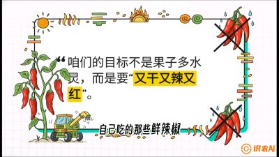 第7节：【工业辣椒专场】追求极致辣度！干物质提升与机械化采收的&ldquo;催红秘籍&rdquo;，课程：《辣椒种植实战特训营，从工业辣椒到精品小米辣，教你如何把&ldquo;草&rdquo;种成&ldquo;金&rdquo;》