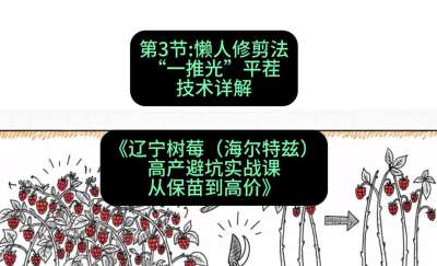 第三节： 懒人修剪法&mdash;&mdash;&ldquo;一推光&rdquo;平茬技术详解，课程：《辽宁树莓（海尔特兹）高产避坑实战课：从保苗到高价》