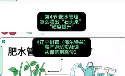 第四节： 肥水管理&mdash;&mdash;怎么喂出&ldquo;石头果&rdquo;（硬度提升），课程：《辽宁树莓（海尔特兹）高产避坑实战课：从保苗到高价》