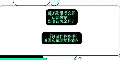 第3节：【核武药剂】爱恨交织的&ldquo;石硫合剂&rdquo;，到底该怎么用？，课程：《经济作物冬季清园&middot;实战防坑指南》#识农AI