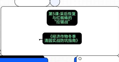 第5节：【柑橘清园】采后恢复与红蜘蛛的&ldquo;拉锯战&rdquo;，课程：《经济作物冬季清园&middot;实战防坑指南》#识农AI