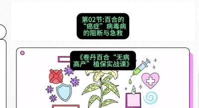 第02节：百合的&ldquo;癌症&rdquo;&mdash;&mdash;病毒病的阻断与急救，课程：《卷丹百合&ldquo;无病高产&rdquo;植保实战课》#识农AI