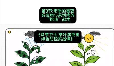 第03节：雨季的霉变&mdash;&mdash;炭疽病与茶饼病的&ldquo;抢晴&rdquo;战术，课程：《茗茶卫士&mdash;&mdash;茶叶病虫害绿色防控实战课》#识农AI