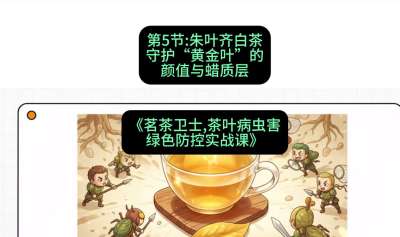 第05节：朱叶齐白茶&mdash;&mdash;守护&ldquo;黄金叶&rdquo;的颜值与蜡质层（重点），课程：《茗茶卫士&mdash;&mdash;茶叶病虫害绿色防控实战课》#识农AI