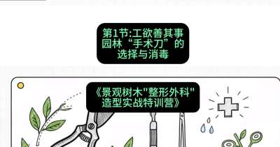 第01节：工欲善其事&mdash;&mdash;园林&ldquo;手术刀&rdquo;的选择与消毒，课程：《景观树木&ldquo;整形外科&rdquo;造型实战特训营》#识农AI