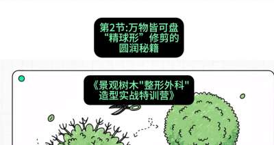 第02节：万物皆可盘&mdash;&mdash;&ldquo;精球形&rdquo;修剪的圆润秘籍，课程：《景观树木&ldquo;整形外科&rdquo;造型实战特训营》#识农AI
