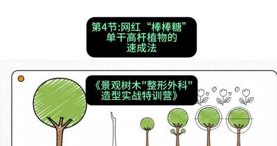 第04节：网红&ldquo;棒棒糖&rdquo;&mdash;&mdash;单干高杆植物的速成法，课程：《景观树木&ldquo;整形外科&rdquo;造型实战特训营》#识农AI