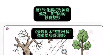 第07节：化腐朽为神奇&mdash;&mdash;偏冠、秃顶树的修复整形，课程：《景观树木&ldquo;整形外科&rdquo;造型实战特训营》#识农AI
