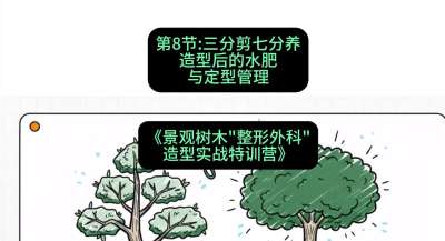 第08节：三分剪七分养&mdash;&mdash;造型后的水肥与定型管理，课程：《景观树木&ldquo;整形外科&rdquo;造型实战特训营》#识农AI